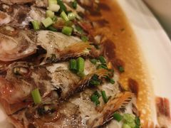 -舌尖上·霞浦滩涂海鲜·新闽菜(总店)