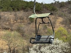 -磬锤峰森林公园