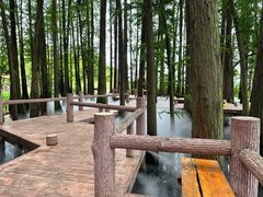 -东湖落雁景区