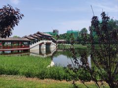 -西海子公园