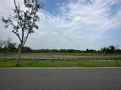 -广富林郊野公园