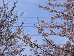 -西北湖绿化广场