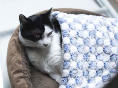 -猫的天空之城概念书店(杭州南宋御街店)