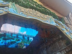 景点-西双版纳原始森林公园