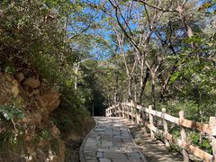 -大岭沟猕猴桃谷风景区