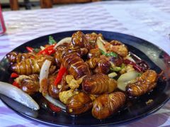 麻辣蚕蛹-徐嘉赫龙虾馆