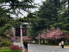 -河南省黄河迎宾馆