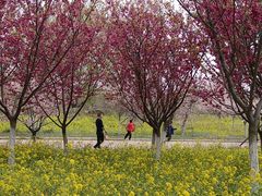 -古柏渡飞黄旅游区