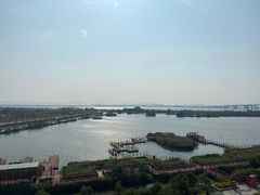 -芒洲湿地公园