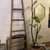 郴州探店/一家超有氛围感的咖啡店!