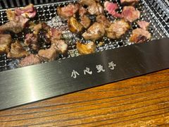 -柿子树炭烤羊腿(金台路店)