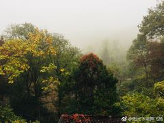 -南山风景名胜区