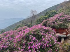 -广州市石门国家森林公园