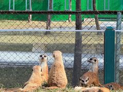 -秦皇岛野生动物园