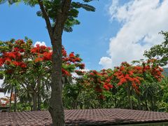 -石梅湾艾美度假酒店