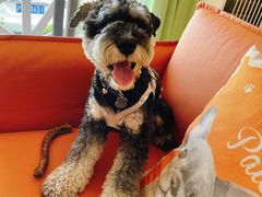 -太阳岛度假酒店