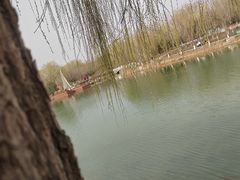 -河北省园博园