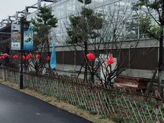 -嬉乐湾休闲旅游区