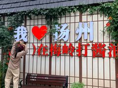 -打酱油·非遗淮扬菜(瘦西湖梅岭老店)