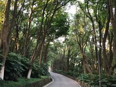 -上海市保健医疗中心(华东疗养院)