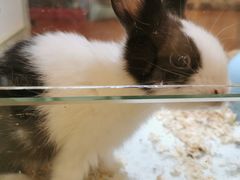 -凯德广场(武胜路店)