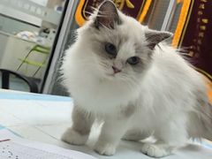 -美美宠物诊疗中心·异宠·骨科(滨江东信分院)