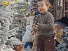 -HERRE·FARM 赫尔露营农场·团建聚会包场