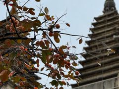 -北京石刻艺术博物馆(五塔寺)