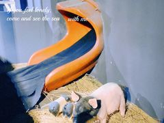 -E+有冰工厂·昆仑寒宫2(五角场店)