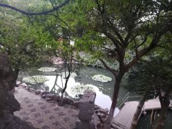 -苏州大学附属儿童医院(景德路院区)