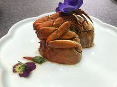 -顺福苑·新派淮扬菜