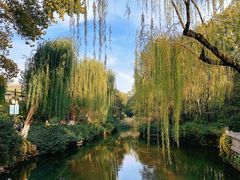 -趵突泉景区