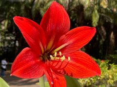 -曼听御花园