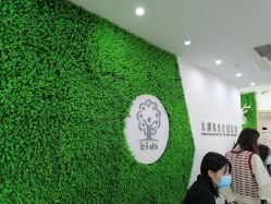 点击看大图 -大树儿童摄影