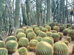 -南山植物园