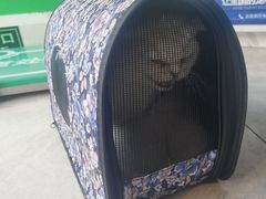 -瑞鹏瑞爱宠物医院·全科·猫科·血液透析中心(龙头寺店)