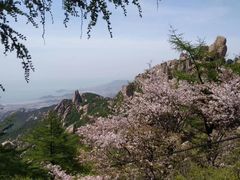 -崂山巨峰游览区
