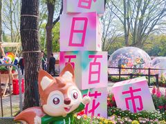 -上海共青森林公园