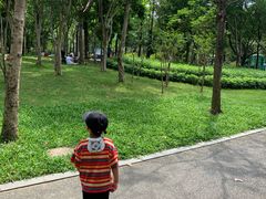 -龙城公园-停车场