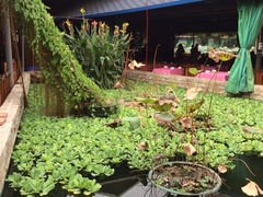iphone_upload_pic-荷香居(洞企石路店)