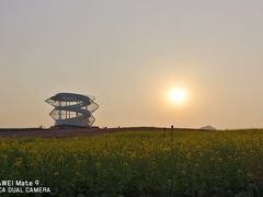 -光明小镇欢乐田园