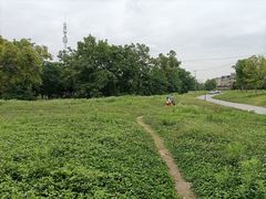 -两河城市森林公园