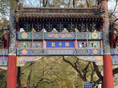 -北京国子监胡同