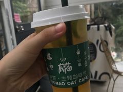 -有猫主题·治愈系猫咖(曾厝垵店)