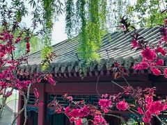 -北坞公园