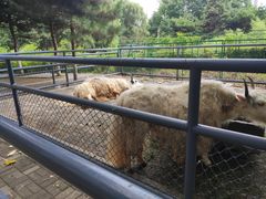 -长白岛森林公园