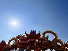 -武汉园博园(武汉自然博物馆)