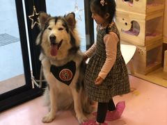-李小姐の猫咖啡馆(五角场店)