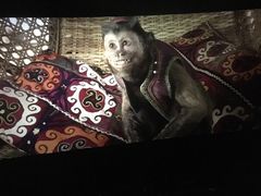 -神画光影影城(温岭万寿路店)