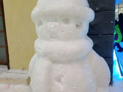 -世界之窗阿尔卑斯冰雪世界